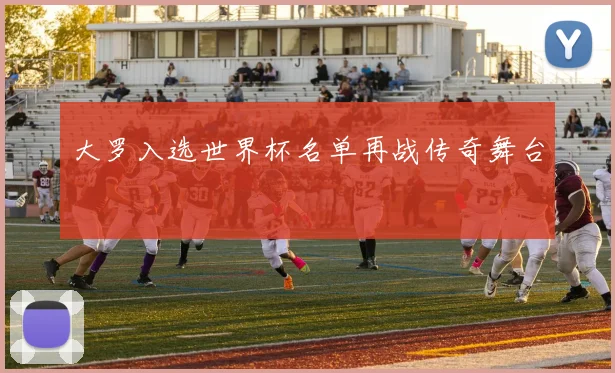 大罗入选世界杯名单再战传奇舞台